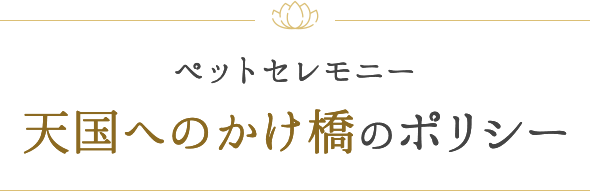大切な愛犬が亡くなったら 後悔のない火葬 葬儀のためにするべきこと ペットセレモニー 天国へのかけ橋